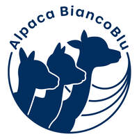 Alpaca BiancoBlu